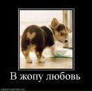 Фотография Ширшова Евгения