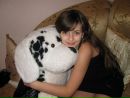 Вікусічка Січкоріз фотография #1