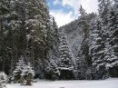 Марія Мельник фотография #12 (источник - https://vk.com/id135547975)