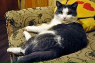 Фотография Бочаровой Инны