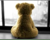 Фотография Бурков Евгений