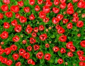 Аглая Макарова фотография #1