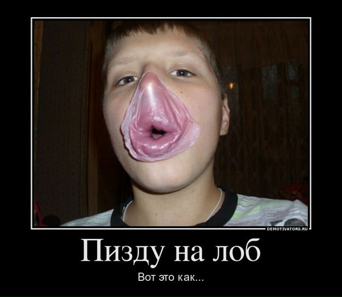 Дмитрий Болобков фото №1