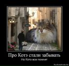 Антон Степанов фотография #44 (источник - https://vk.com/id628018)