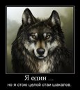 Біленький Діма фотография #5 (источник - https://vk.com/id209966523)