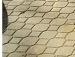 Діма Скоц фотография #7 (источник - https://vk.com/id139645462)