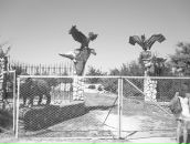 Таня Калічак фотография #49 (источник - https://vk.com/id62159253)