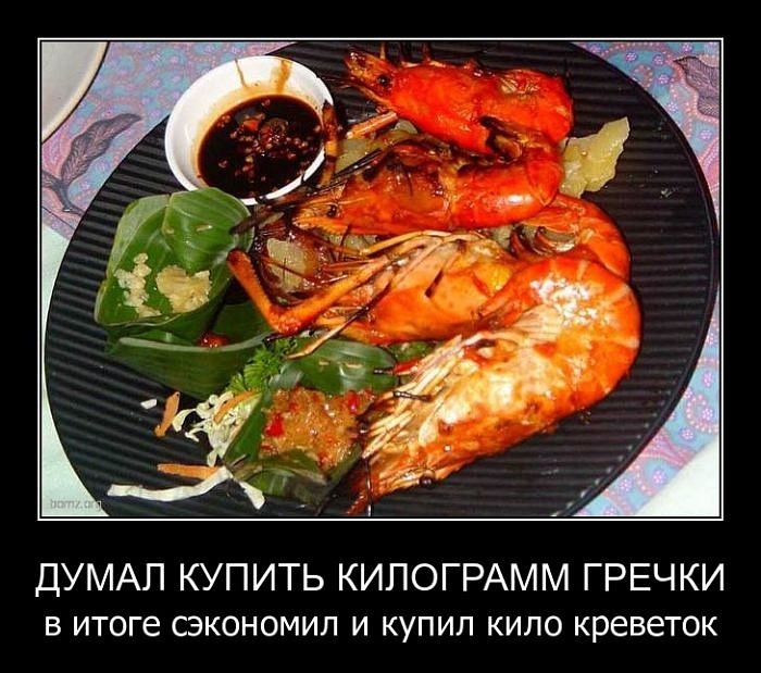 Qwesh Dv фотография #49