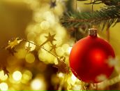 Фотография Каштановой Юли