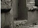 Назар Тернопільський фотография #27 (источник - https://vk.com/id144131883)
