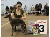 Фотография Афанасьевой Анны