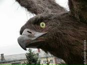 Антон Шикін фотография #47 (источник - https://vk.com/id15086452)