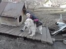 Сергій Попюк фотография #36 (источник - https://vk.com/id166284382)