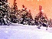 Ірка Завада фотография #10 (источник - https://vk.com/id155166811)
