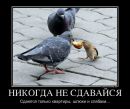 Фотография Араксиной Аллы