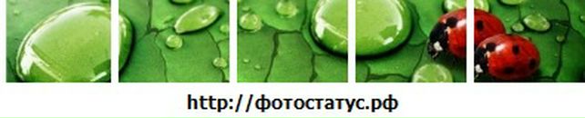 Таня Ілійчук фотография #29 (источник - https://vk.com/id61418361)
