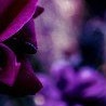 Аня Костів фотография #4 (источник - https://vk.com/id139363454)