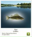 Назар Паньків фотография #7 (источник - https://vk.com/id160053778)
