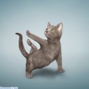 Фотография Козловской Анастасии