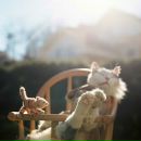 Фотография Гаврилова Артёма