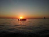 Фотография Салтыкова Виктора