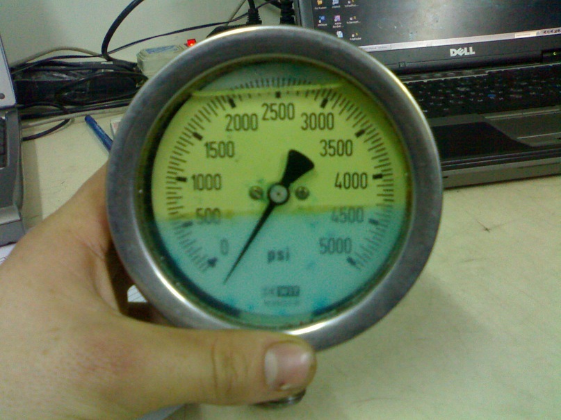 Alex Plotnikov фотография #21