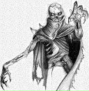 Фотография Румянцева Евгения