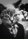 Фотография Libertine Cheeky