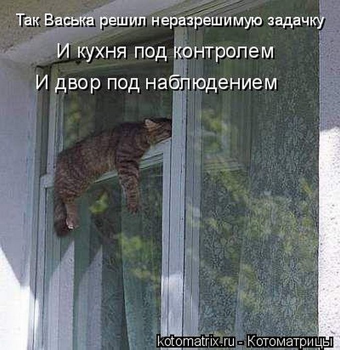 Игорь Белов фотография #47