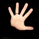 Фотография Лукьянова Александра