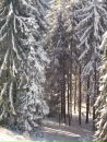 Славік Пилипів фотография #24 (источник - https://vk.com/id63683793)