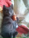 Фотография Федосеевой Александры
