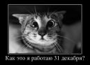 Фотография Павловой Ирины