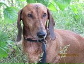 Фотография Проняевой Ирины