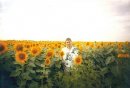 Владимир Плотников фотография #16 (источник - https://vk.com/id3372733)