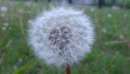 White Wind фотография #29 (источник - https://vk.com/id2496260)