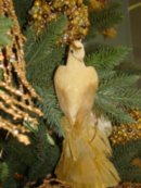 Анна Ершова фотография #39 (источник - https://vk.com/id4041552)