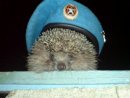 Фотография Исаева Ивана