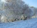 Фотография Шитиковой Валентины