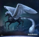 Радуга Дэш фотография #35 (источник - https://vk.com/id183616506)