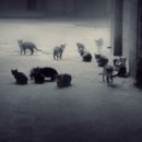 Фотография Svetlo Светы