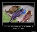 Ілонка Страхонюк фотография #13 (источник - https://vk.com/id66034475)