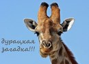 Айказік Карібян фотография #34 (источник - https://vk.com/id142874743)