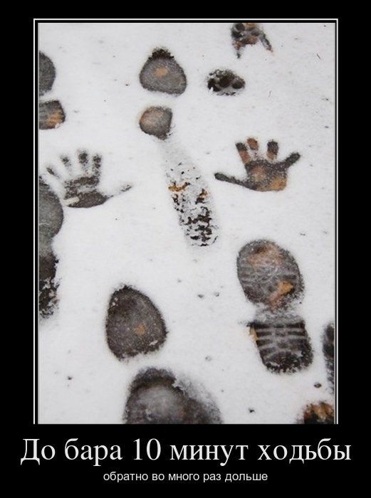 Владислав Мокрий фотография #46