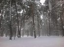 Олена Віцька фотография #16 (источник - https://vk.com/id163091324)