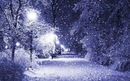 Катя Науменко фотография #23 (источник - https://vk.com/id158890331)