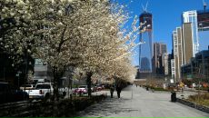 Ігор Швед фотография #44 (источник - https://vk.com/id13802232)