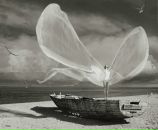 Фотография Алейник Дарьи