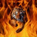 Юля Максимів фотография #7 (источник - https://vk.com/id153832541)