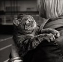 Аліна Ульянова фотография #13 (источник - https://vk.com/id168086112)